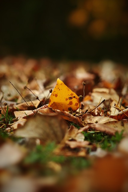 也为读者提 也为读者提