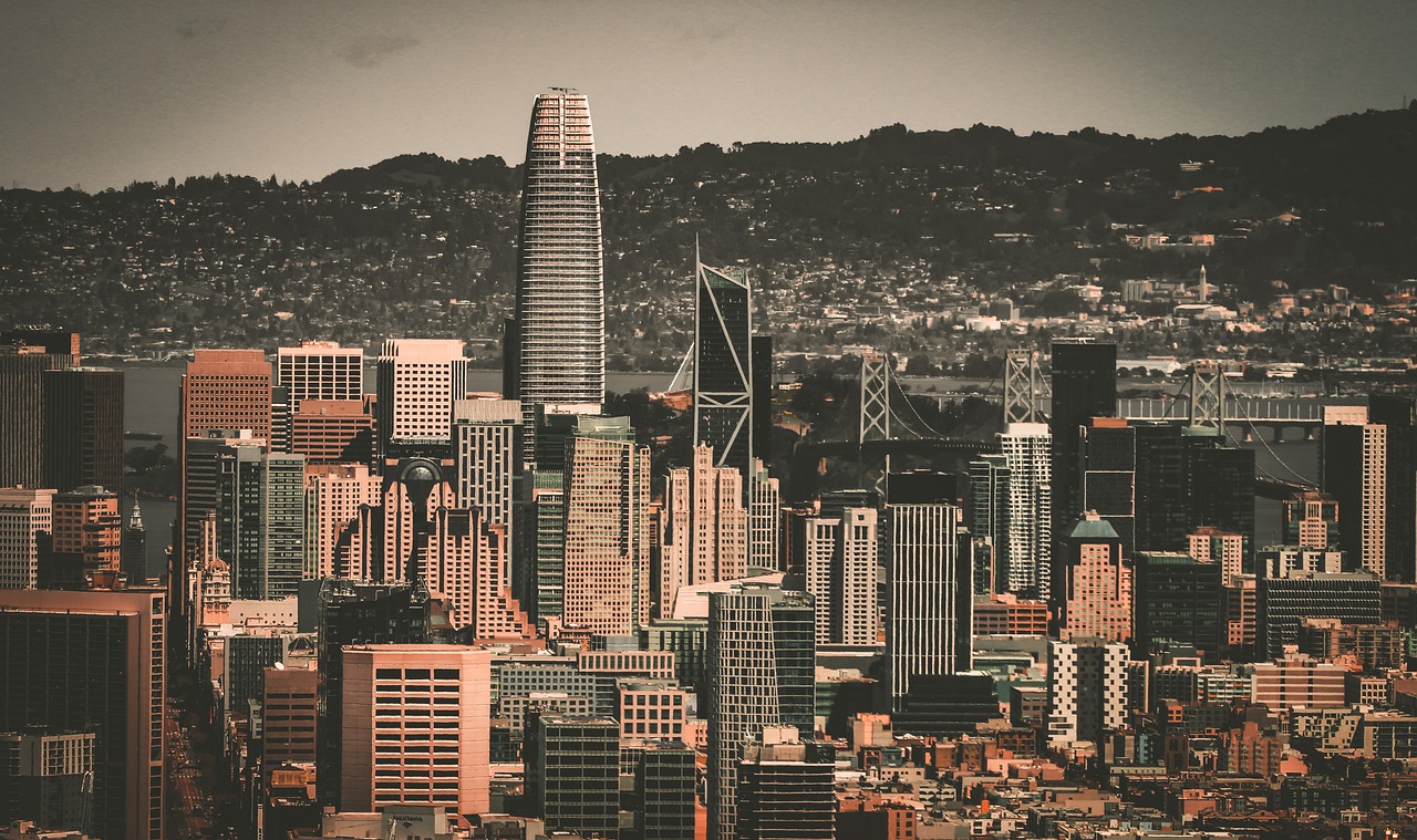 比賽展現出 比賽展現出