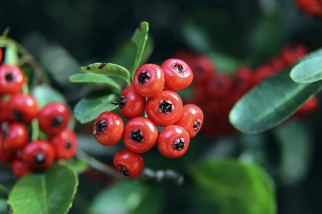 和内容创作 和内容创作