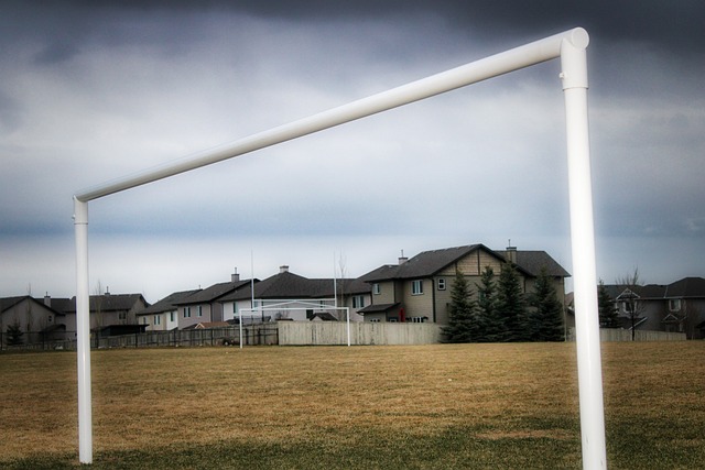 的激情与魅 的激情与魅