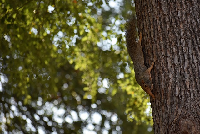 体水平至关 体水平至关