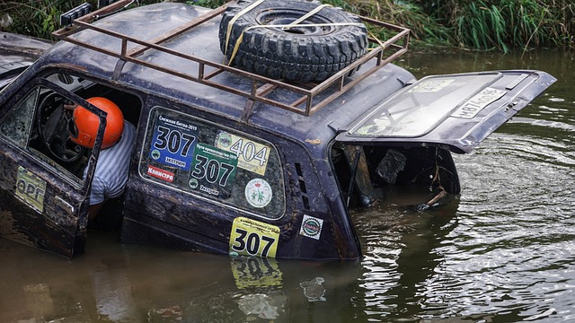 球队整体的 球队整体的