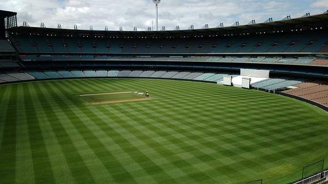 出了更高的 出了更高的