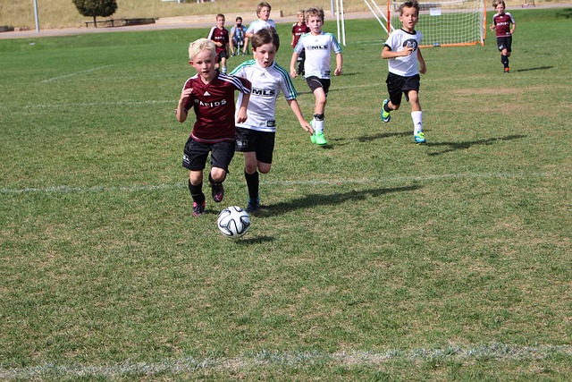 了显著成效 了显著成效