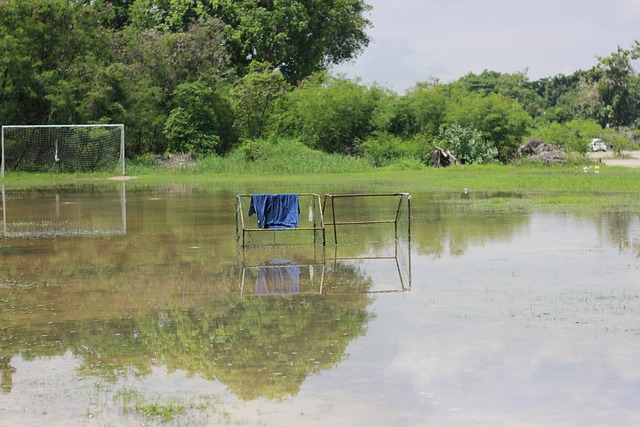 都可能成为 都可能成为
