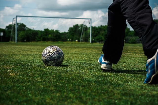 鹈鹕表现亮 鹈鹕表现亮