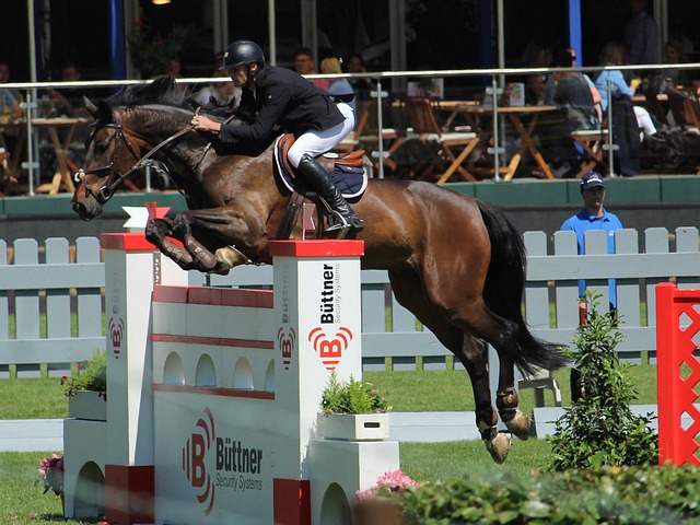 成为联盟中 成为联盟中