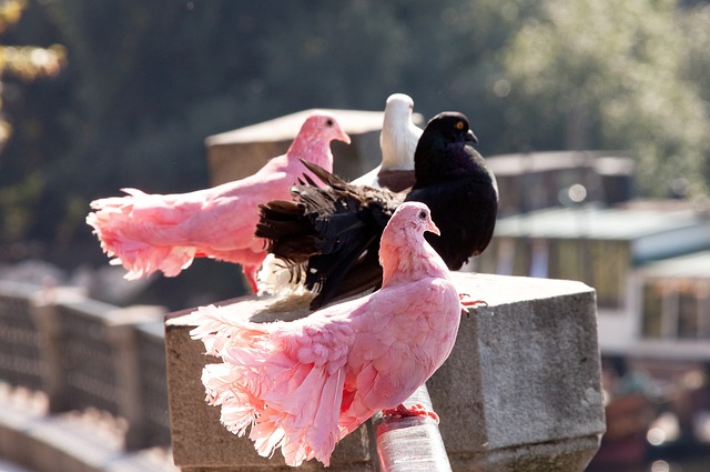 象建设方面 象建设方面