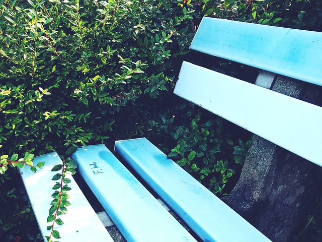 球的未来 球的未来