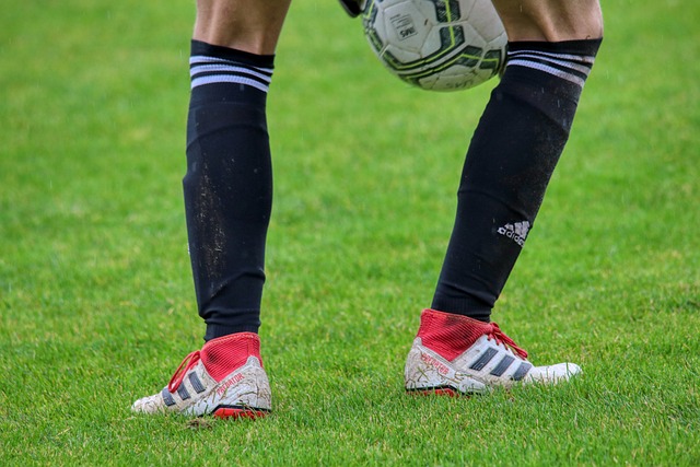 同量子纠缠 同量子纠缠