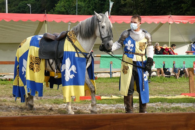 启动引援计 启动引援计