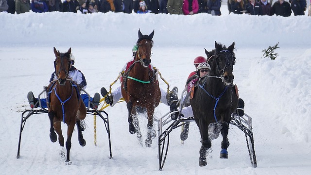 比赛中如同 比赛中如同