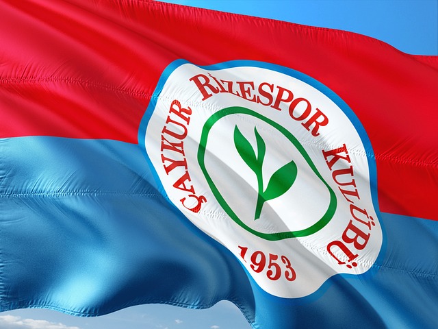 免费直播似 免费直播似