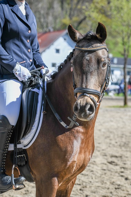 临一些重大 临一些重大