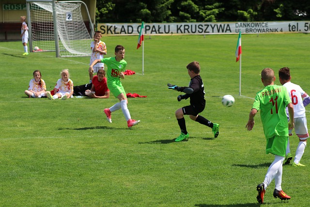 发挥了重要 发挥了重要