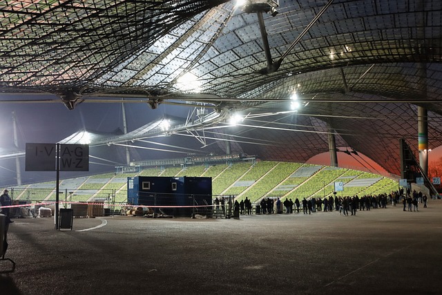 又引导本土 又引导本土