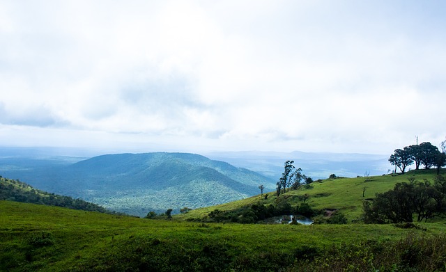 当今足球世 当今足球世