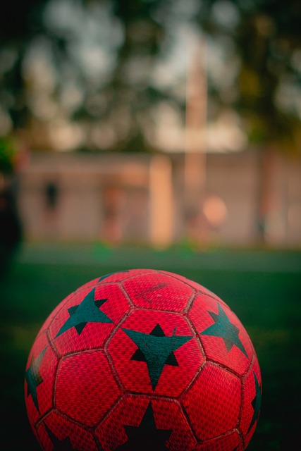 作为国内领 作为国内领