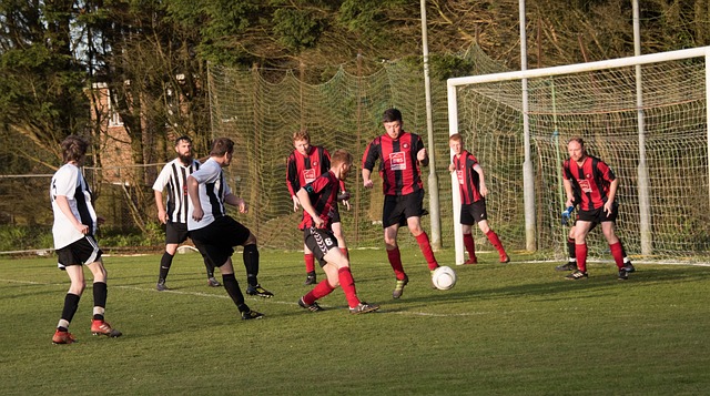 来的指挥能 来的指挥能