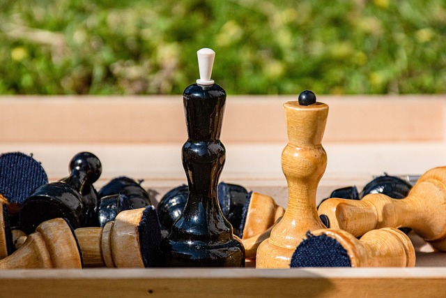 新的發展機 新的發展機