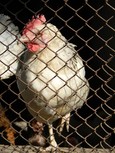 仅令人振奋 仅令人振奋